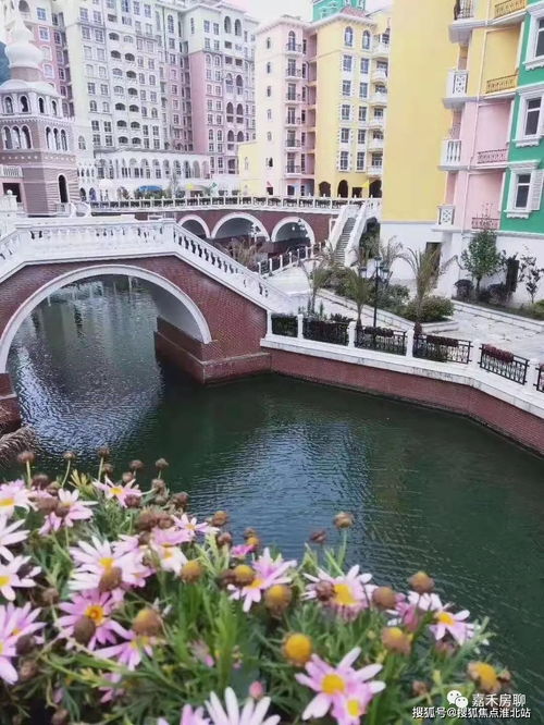 嘉興 嘉興平湖 樓盤詳情 平湖房天下 熱度第一